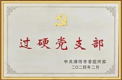 Glorie! Lapuda ontving twee belangrijke onderscheidingen: 'Excellent Party Br...